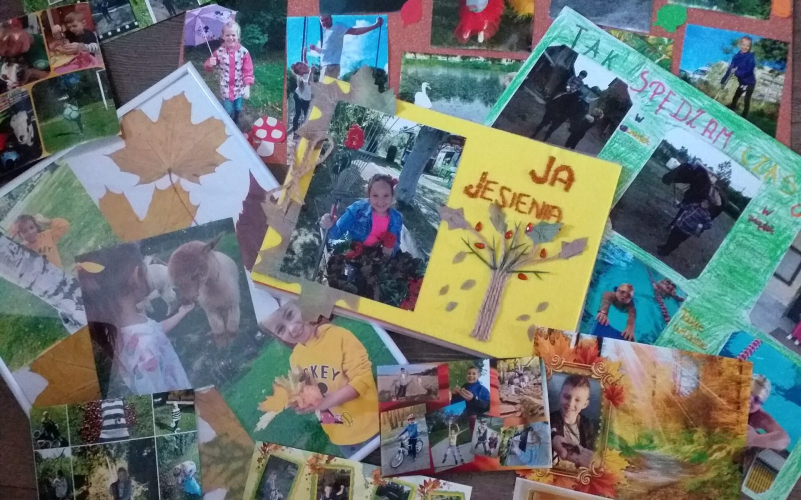 ROZSTRZYGNIĘCIE KONKURSU „Ja – jesienią”