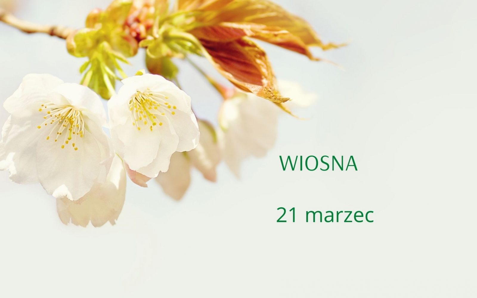 Wiosna