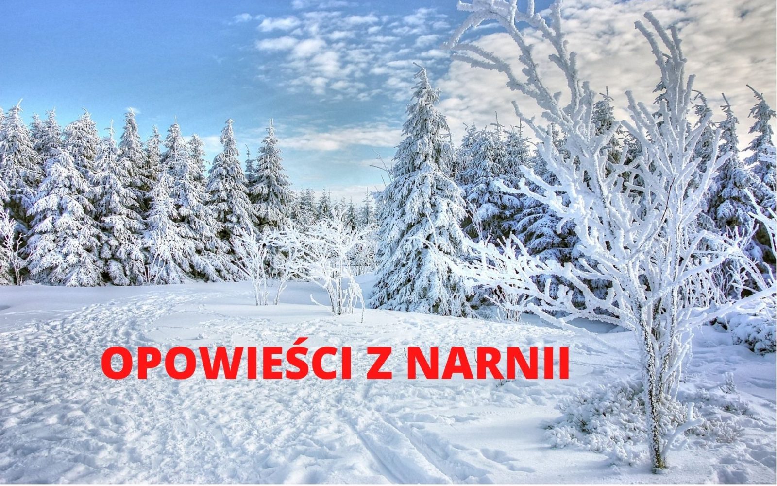 Biblioteka poleca „Opowieści z Narnii”