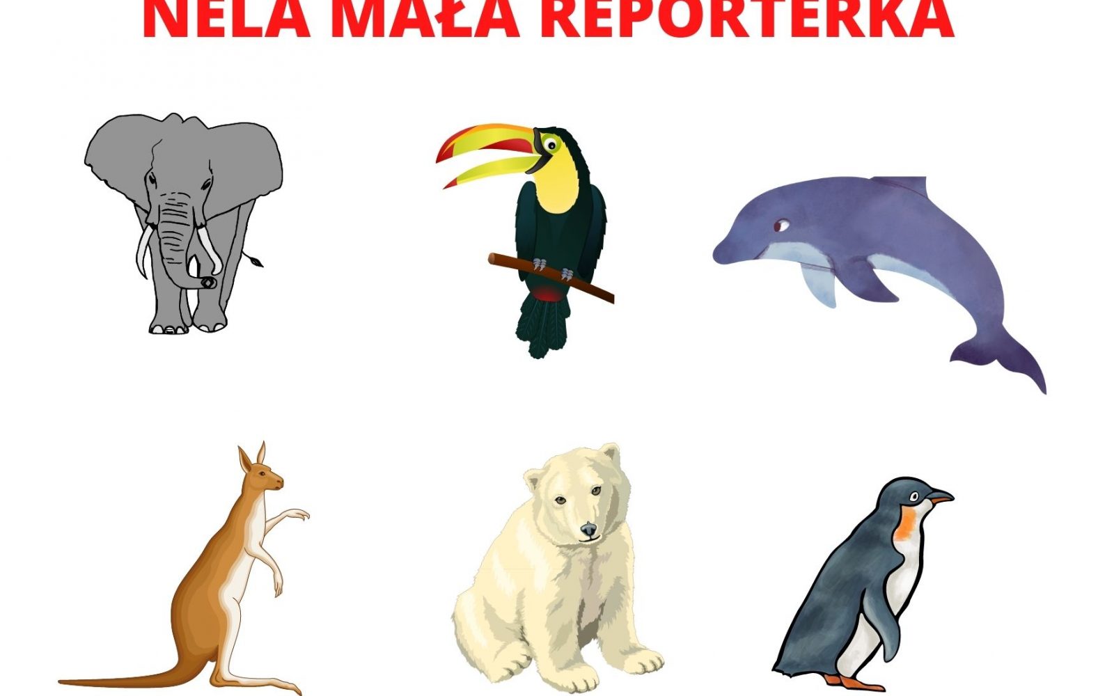 Biblioteka poleca „Nela mała reporterka”